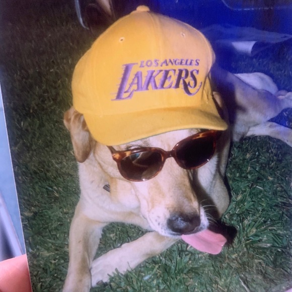 Meet your Posher, Annette - Picture 1 of 1